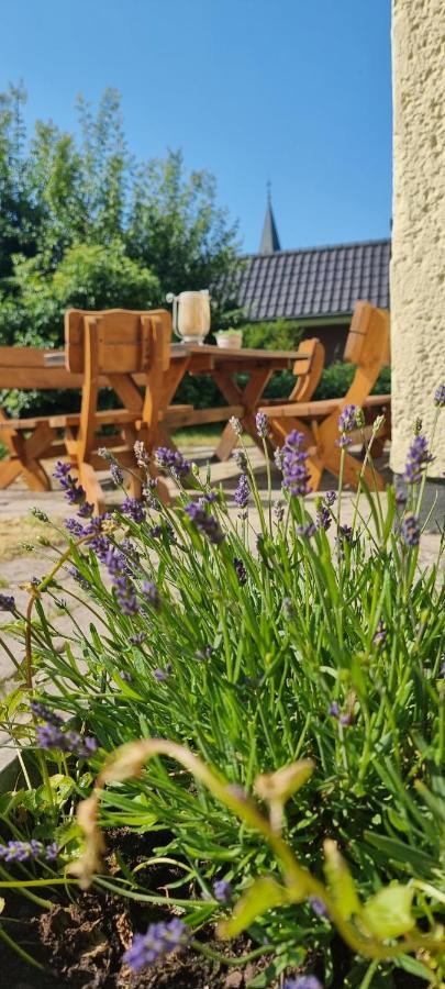 Ferienhaus Am Haff Hintersee Ngoại thất bức ảnh